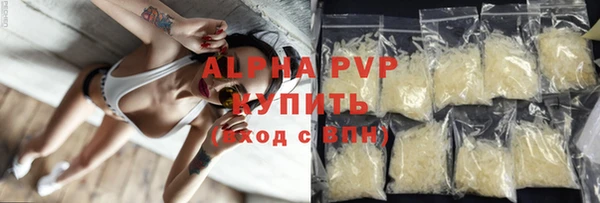индика Гусиноозёрск