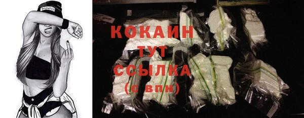 индика Гусиноозёрск