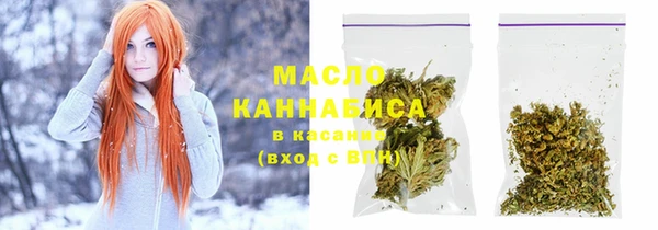 индика Гусиноозёрск