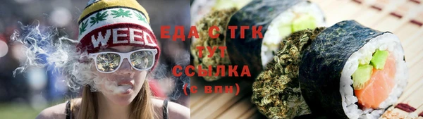 индика Гусиноозёрск
