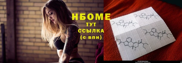индика Гусиноозёрск