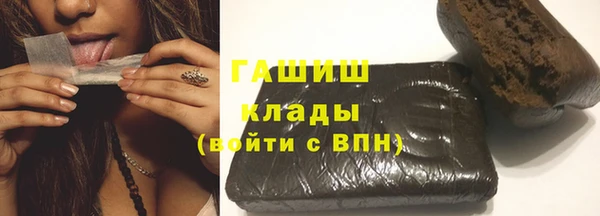 индика Гусиноозёрск