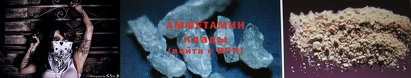 СК Новосибирск