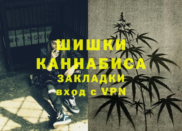 крисы Гусь-Хрустальный