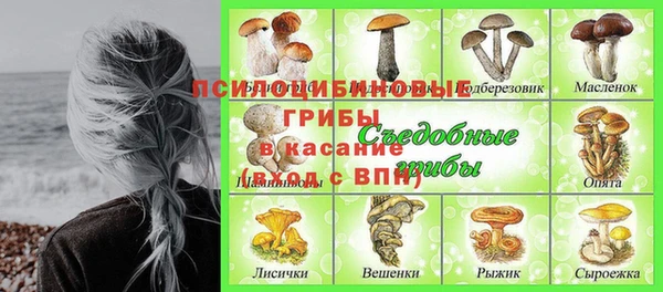 дживик Гусев