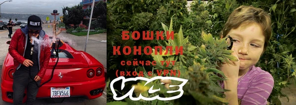 индика Гусиноозёрск