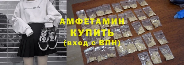 индика Гусиноозёрск