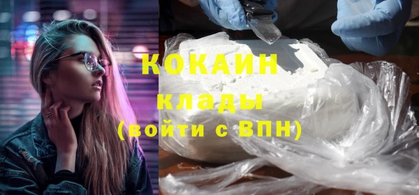 индика Гусиноозёрск