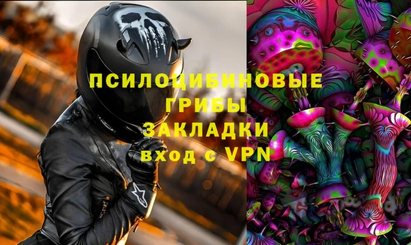 СК Новосибирск